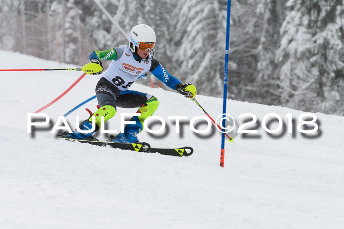 DSV Dt. Schülercup U14 SL 20.01.2018