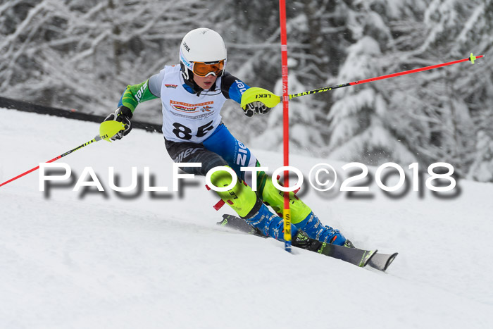 DSV Dt. Schülercup U14 SL 20.01.2018