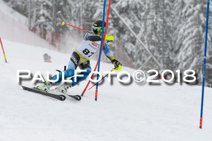 DSV Dt. Schülercup U14 SL 20.01.2018