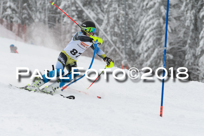 DSV Dt. Schülercup U14 SL 20.01.2018