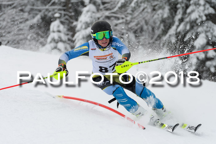 DSV Dt. Schülercup U14 SL 20.01.2018