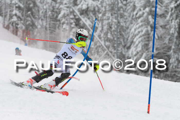 DSV Dt. Schülercup U14 SL 20.01.2018