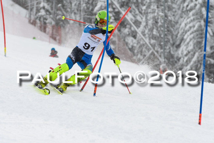 DSV Dt. Schülercup U14 SL 20.01.2018