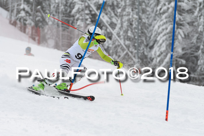 DSV Dt. Schülercup U14 SL 20.01.2018