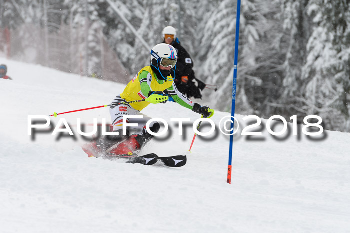 DSV Dt. Schülercup U14 SL 20.01.2018