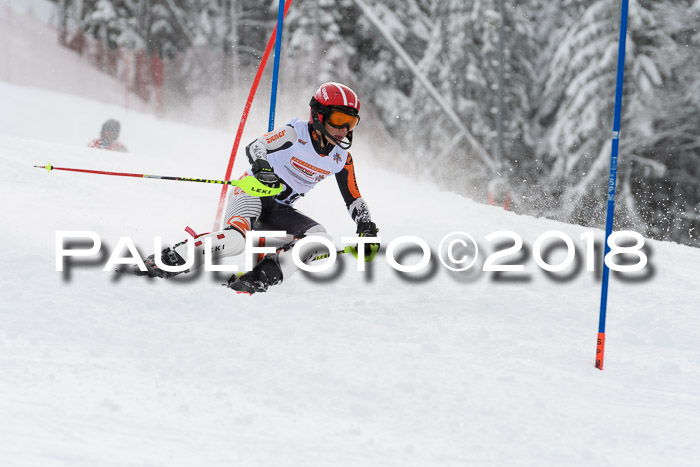 DSV Dt. Schülercup U14 SL 20.01.2018