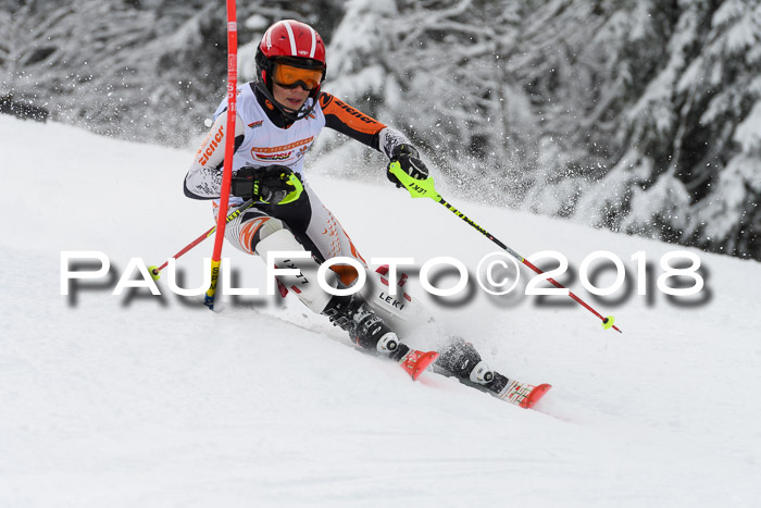 DSV Dt. Schülercup U14 SL 20.01.2018