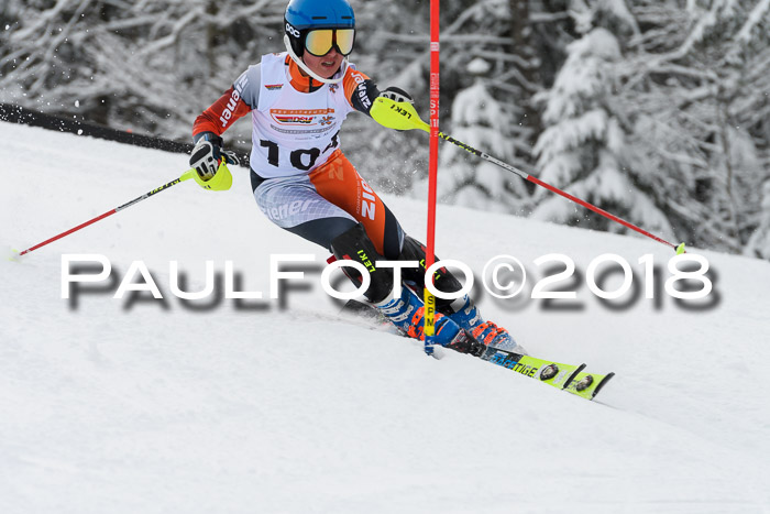 DSV Dt. Schülercup U14 SL 20.01.2018