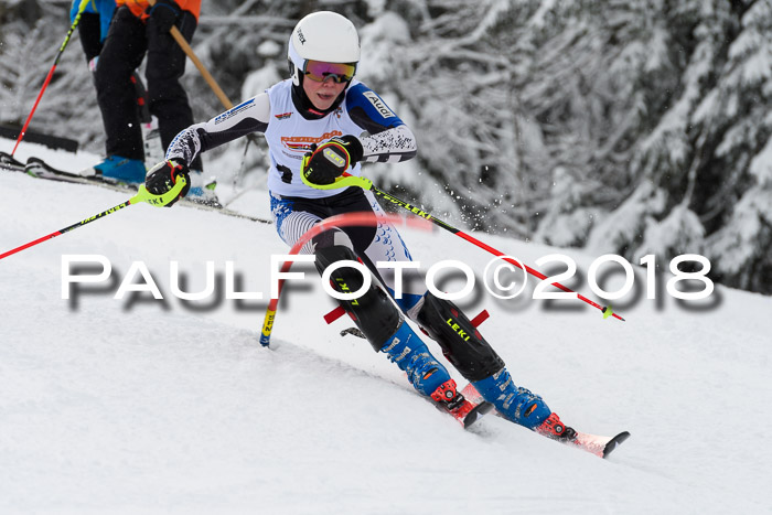 DSV Dt. Schülercup U14 SL 20.01.2018