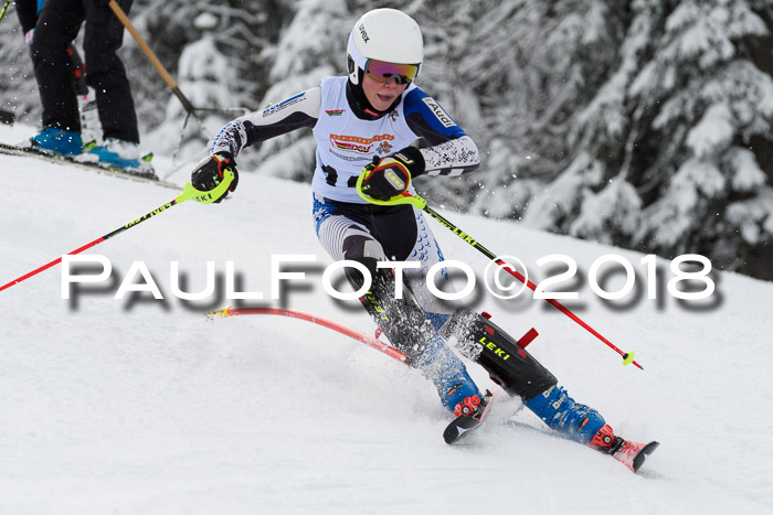 DSV Dt. Schülercup U14 SL 20.01.2018