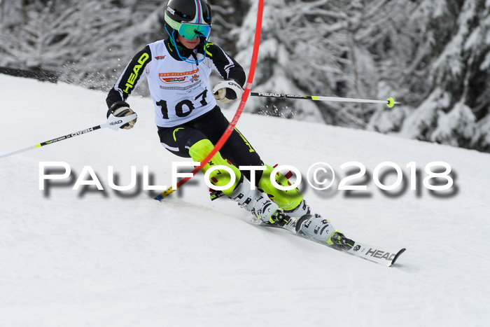 DSV Dt. Schülercup U14 SL 20.01.2018