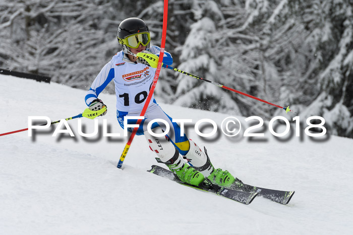 DSV Dt. Schülercup U14 SL 20.01.2018