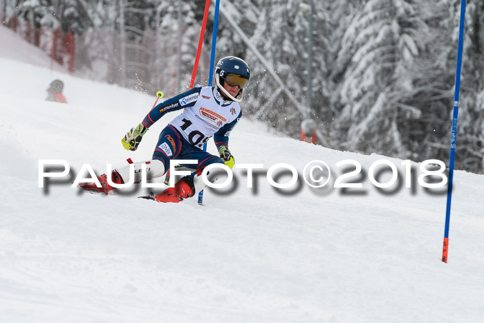 DSV Dt. Schülercup U14 SL 20.01.2018