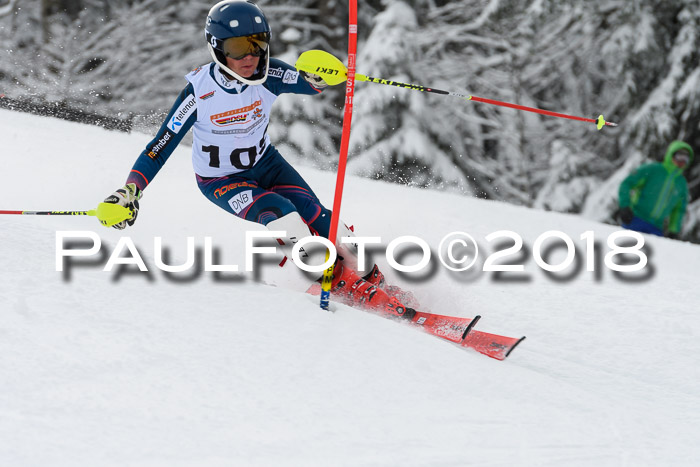 DSV Dt. Schülercup U14 SL 20.01.2018