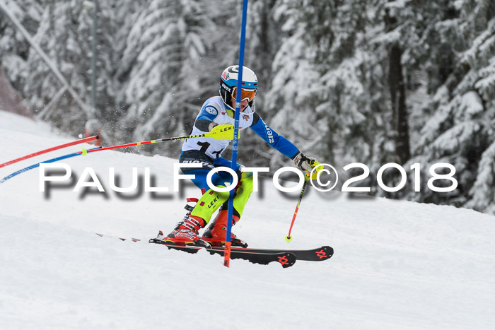 DSV Dt. Schülercup U14 SL 20.01.2018