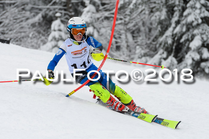 DSV Dt. Schülercup U14 SL 20.01.2018