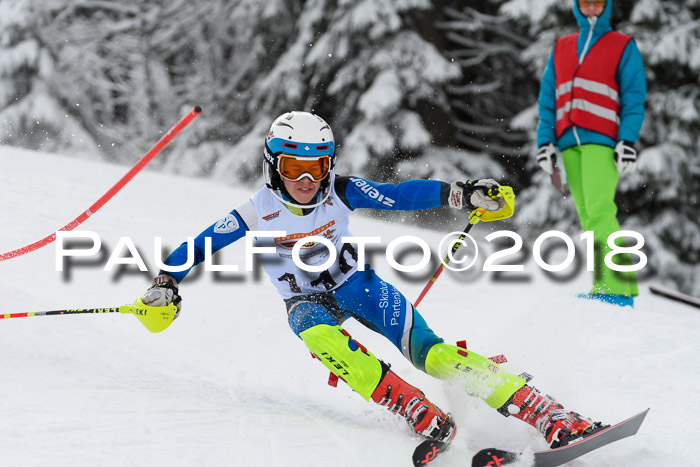 DSV Dt. Schülercup U14 SL 20.01.2018