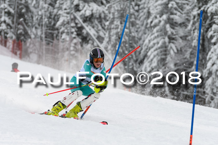 DSV Dt. Schülercup U14 SL 20.01.2018