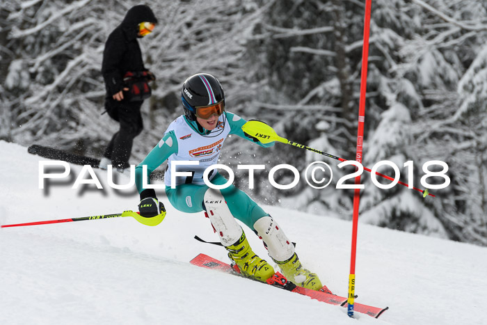 DSV Dt. Schülercup U14 SL 20.01.2018