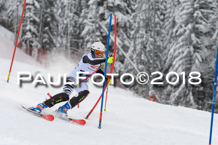 DSV Dt. Schülercup U14 SL 20.01.2018