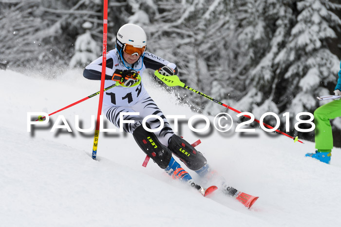 DSV Dt. Schülercup U14 SL 20.01.2018