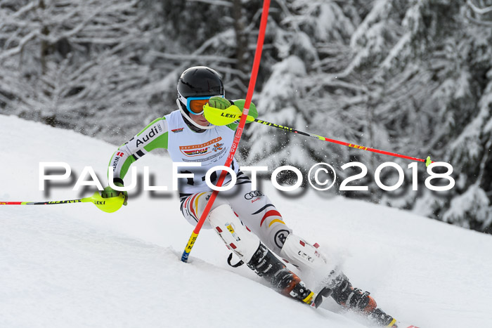 DSV Dt. Schülercup U14 SL 20.01.2018