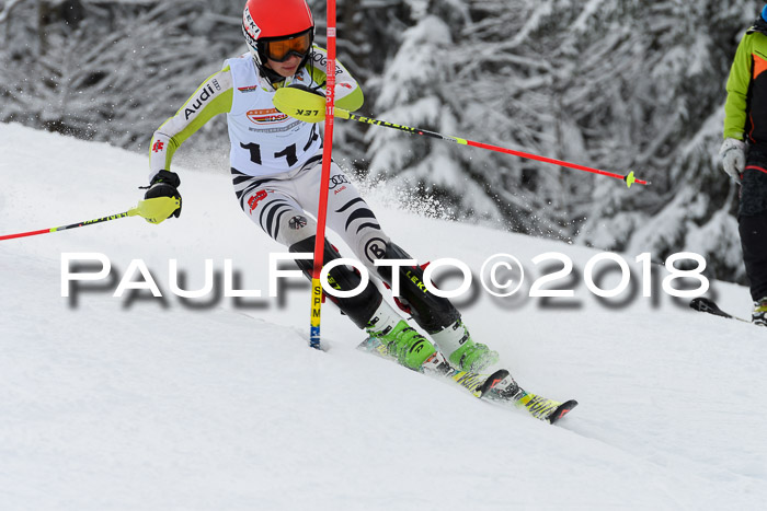 DSV Dt. Schülercup U14 SL 20.01.2018