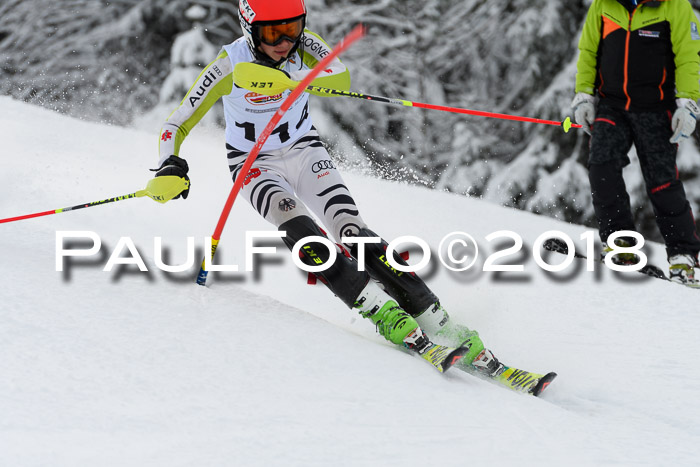 DSV Dt. Schülercup U14 SL 20.01.2018