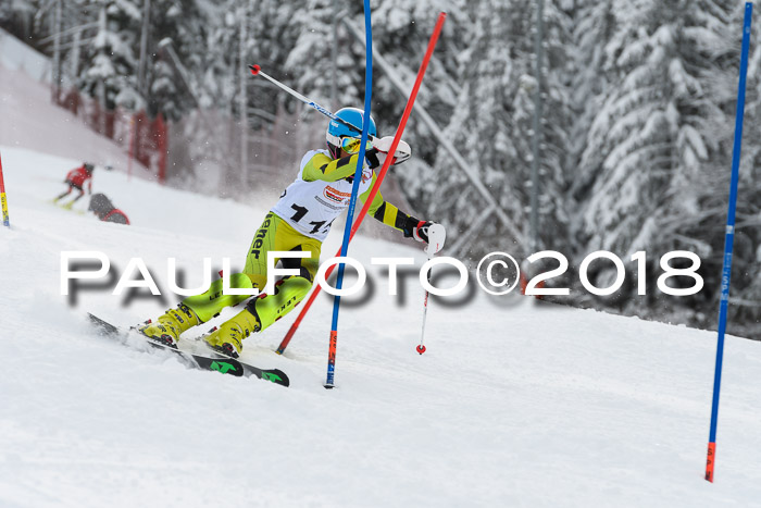 DSV Dt. Schülercup U14 SL 20.01.2018