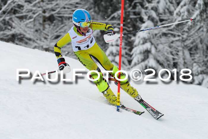 DSV Dt. Schülercup U14 SL 20.01.2018