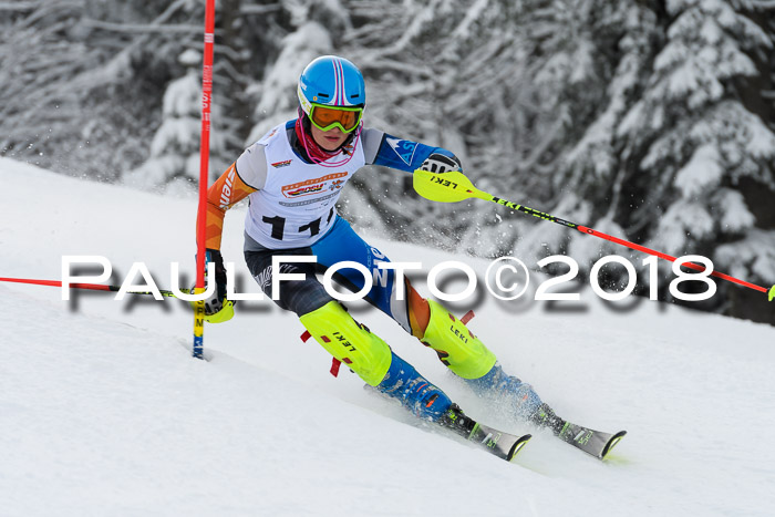 DSV Dt. Schülercup U14 SL 20.01.2018