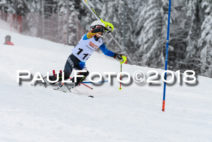 DSV Dt. Schülercup U14 SL 20.01.2018