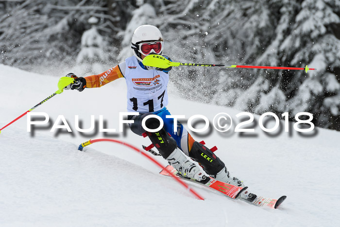 DSV Dt. Schülercup U14 SL 20.01.2018