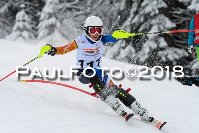 DSV Dt. Schülercup U14 SL 20.01.2018