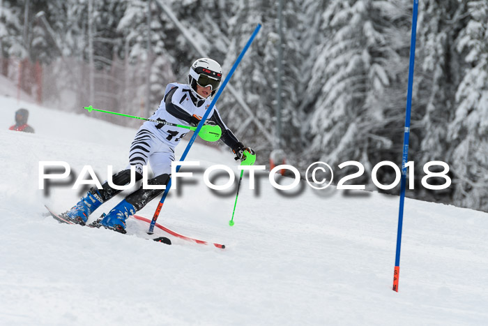 DSV Dt. Schülercup U14 SL 20.01.2018