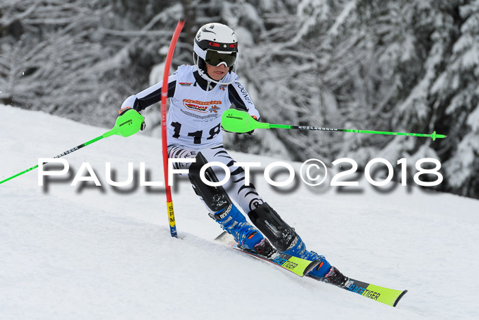 DSV Dt. Schülercup U14 SL 20.01.2018