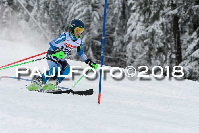 DSV Dt. Schülercup U14 SL 20.01.2018