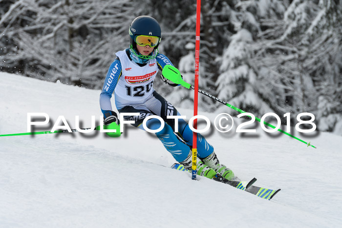 DSV Dt. Schülercup U14 SL 20.01.2018