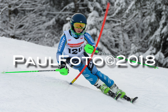 DSV Dt. Schülercup U14 SL 20.01.2018