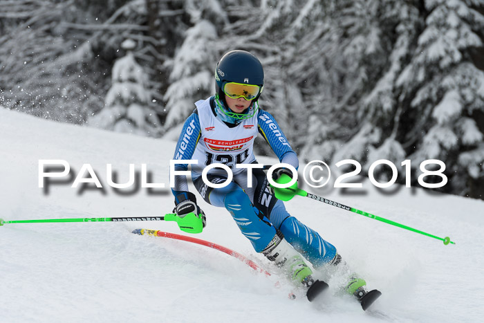 DSV Dt. Schülercup U14 SL 20.01.2018