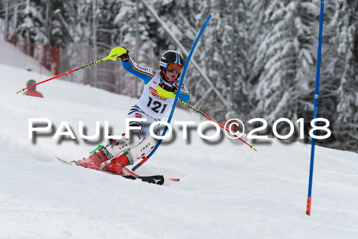 DSV Dt. Schülercup U14 SL 20.01.2018