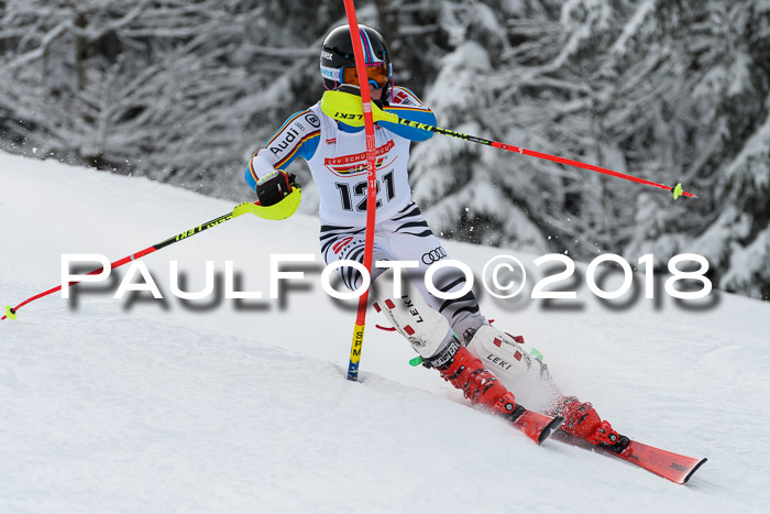 DSV Dt. Schülercup U14 SL 20.01.2018