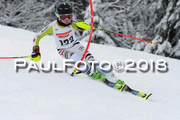 DSV Dt. Schülercup U14 SL 20.01.2018