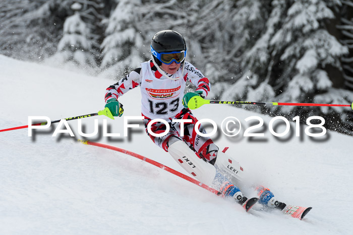 DSV Dt. Schülercup U14 SL 20.01.2018