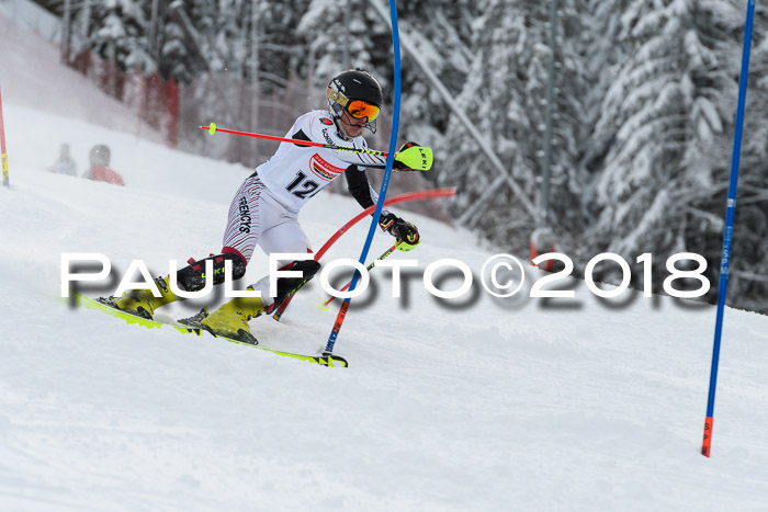 DSV Dt. Schülercup U14 SL 20.01.2018