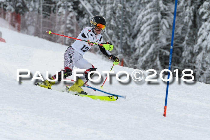 DSV Dt. Schülercup U14 SL 20.01.2018