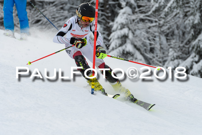 DSV Dt. Schülercup U14 SL 20.01.2018