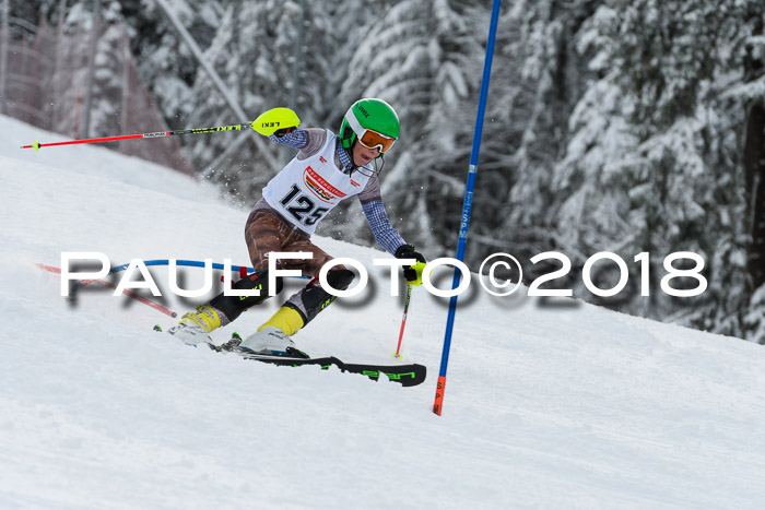 DSV Dt. Schülercup U14 SL 20.01.2018