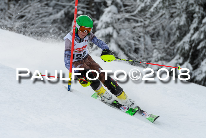 DSV Dt. Schülercup U14 SL 20.01.2018