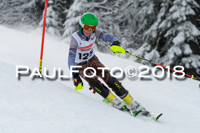 DSV Dt. Schülercup U14 SL 20.01.2018